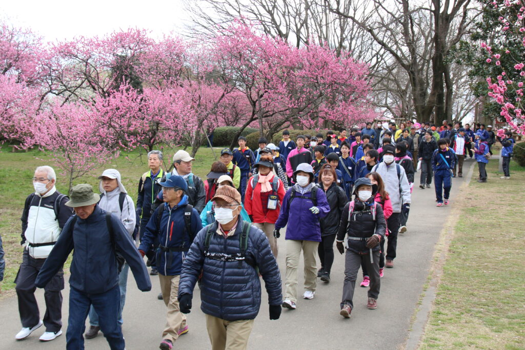 約1600本のハナモモの並木の中を歩く参加者（過去の大会から。古河市役所提供）
