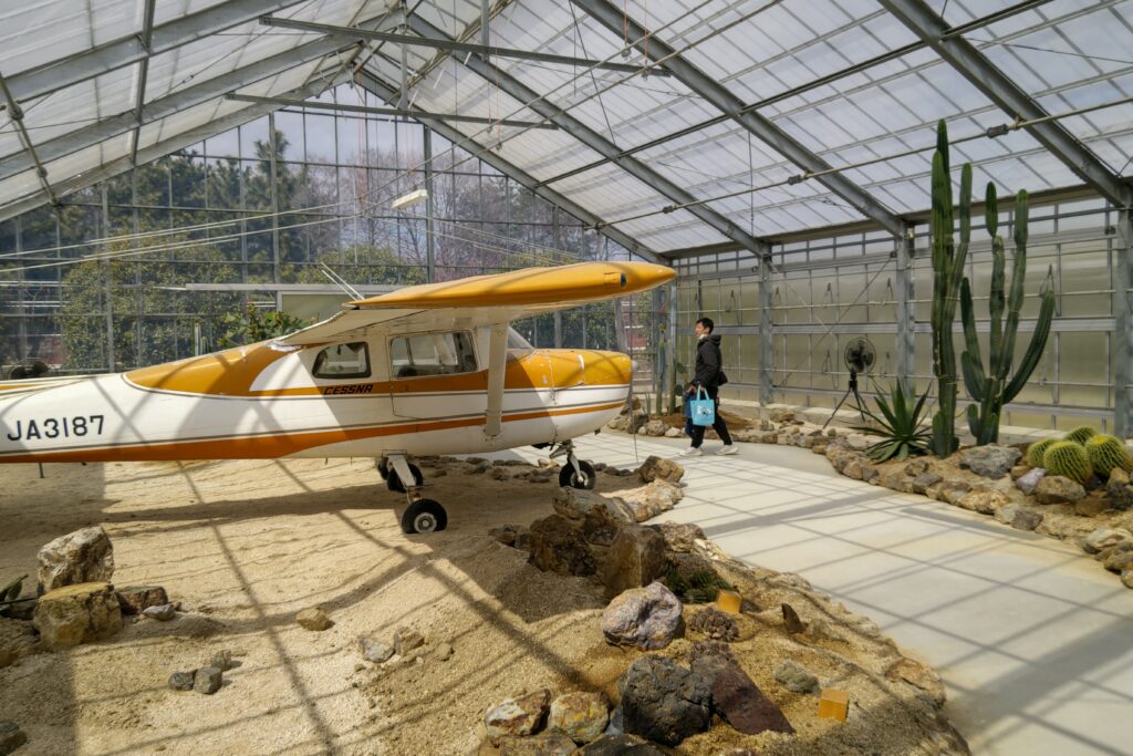 サボテン園の軽飛行機。植えたばかりのサボテンも多いそうで、大きく育つのが楽しみです＝筑西市