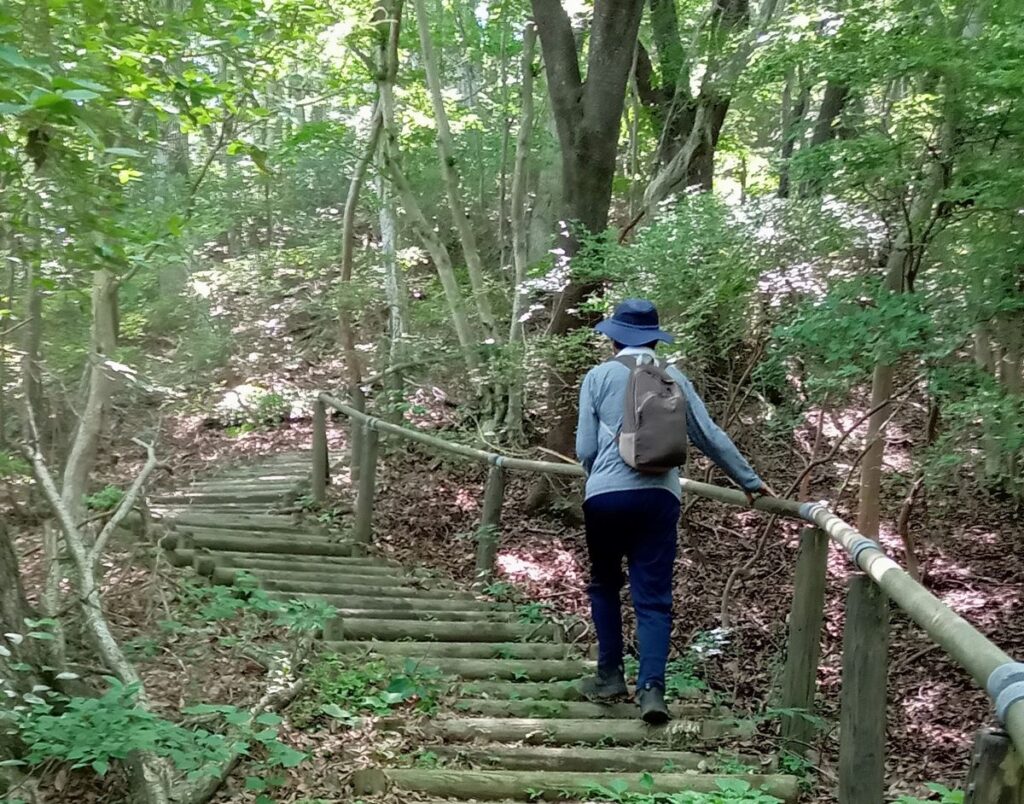 登山道は木の階段が一部で整備されていて、登りやすい