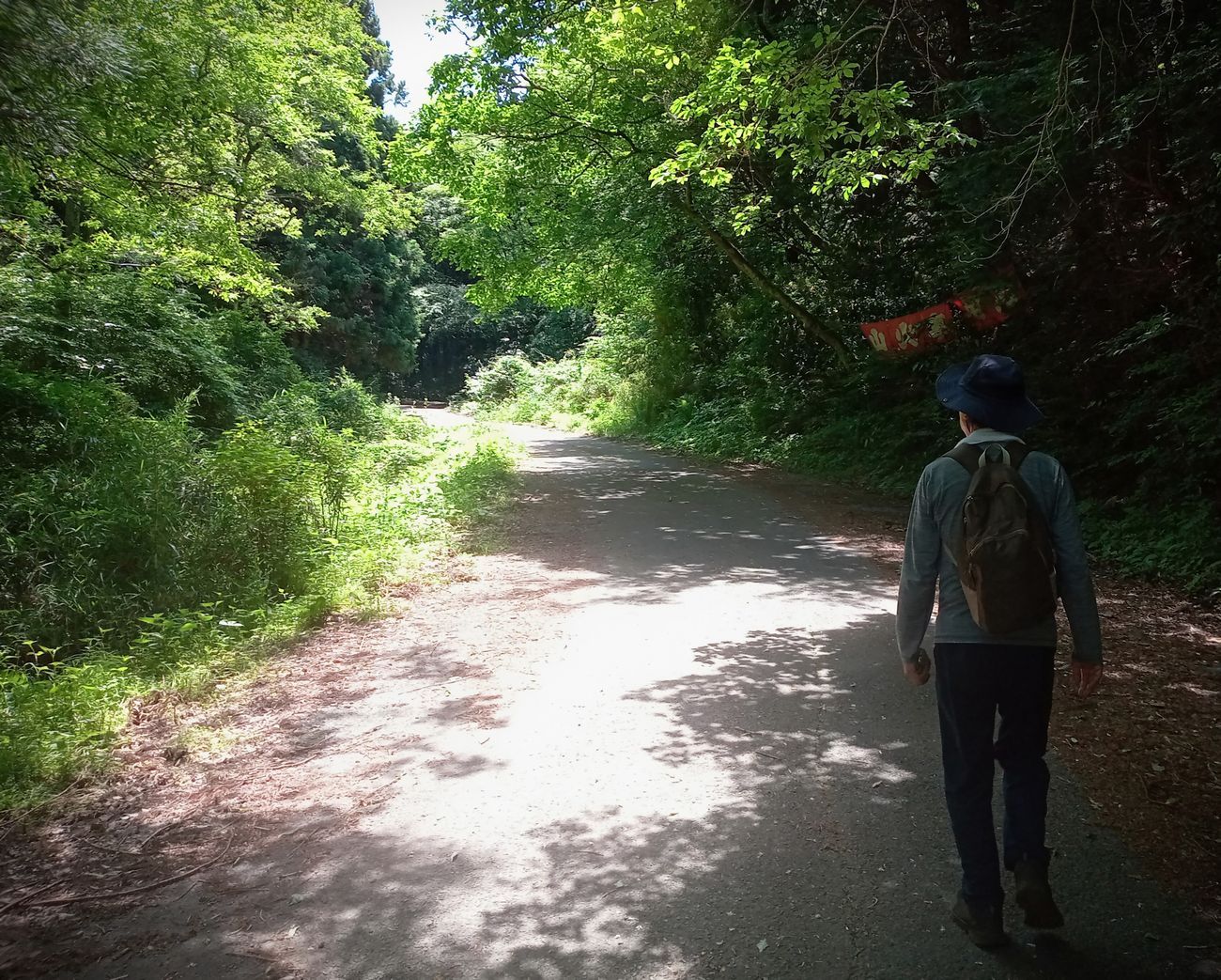 筑波連山を縦走するルートの一部、「きのこ山」から通称「幽霊林道」などを歩きました