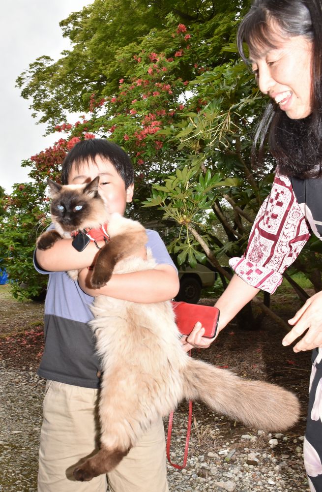 登録制度について「悲しい猫がなくなるきっかけにしてほしい」と話す鈴木雅子さん（右）と飼育している保護猫＝古河市内