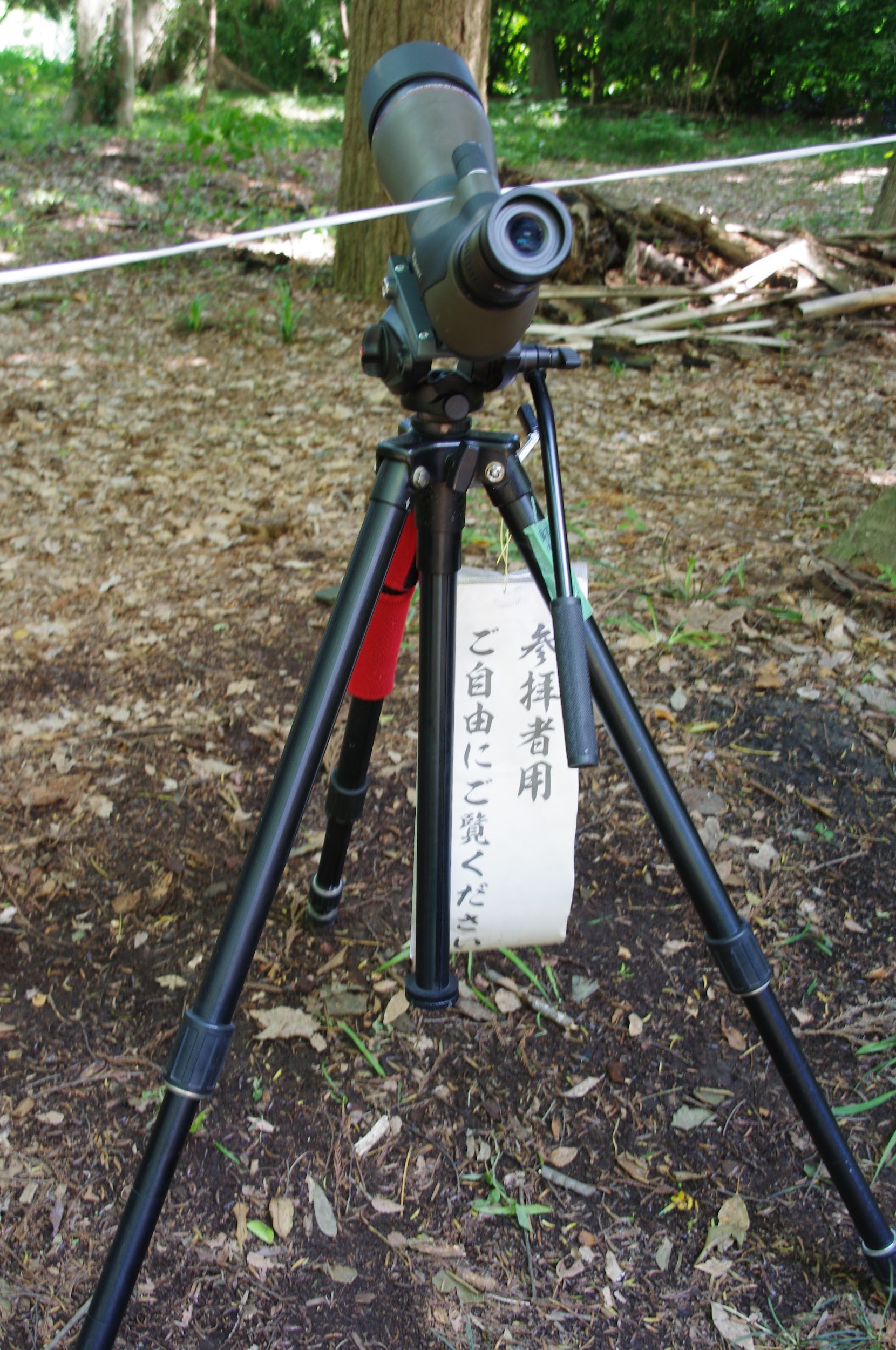 境内のフクロウ観察用望遠鏡
