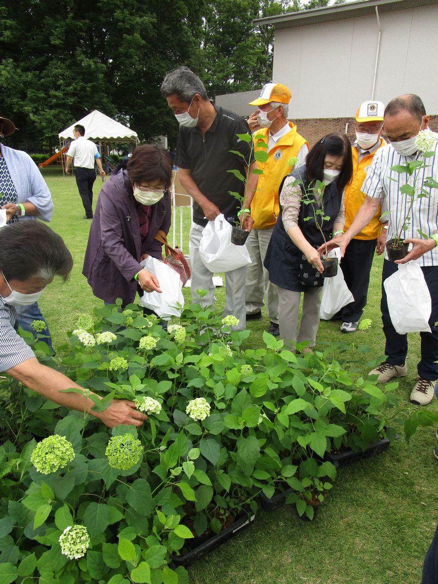 6月8日に開催される第17回ふれあいアジサイ祭り＝筑西市野殿の茨城県県西生涯学習センター（写真は2022年開催時のものです）