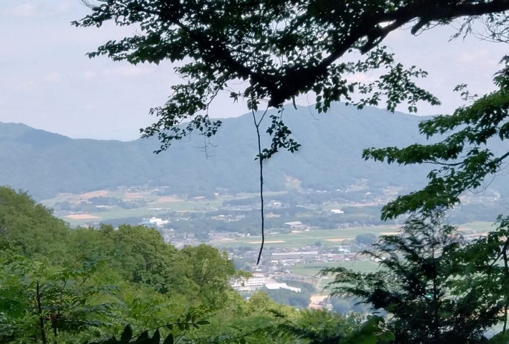 木々の隙間から望む桜川市岩瀬地区の山並み、町並み