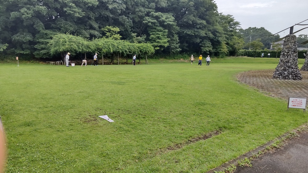 きれいに手入れされている芝生広場