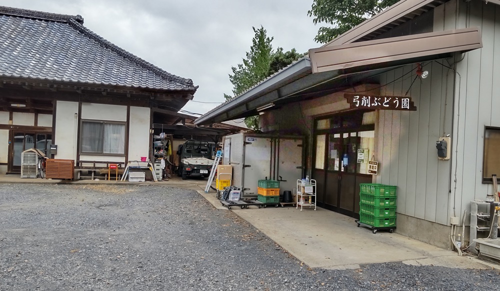 弓削ぶどう園＝桜川市高久