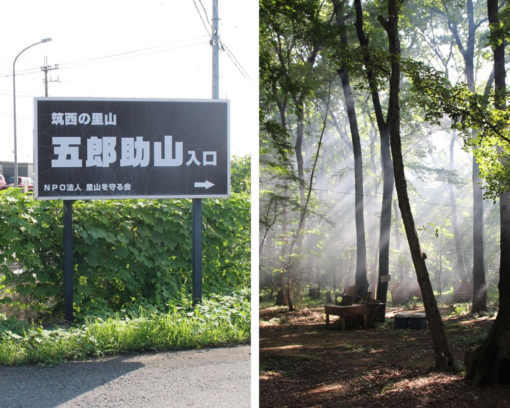 自然の遊び場「五郎助山」の朝＝筑西市上野