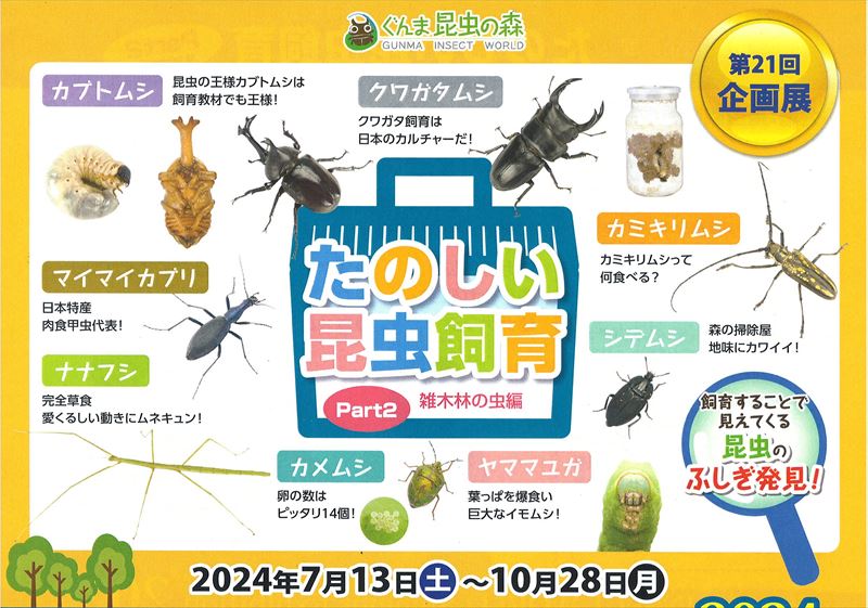 ぐんま昆虫の森①_R.jpg