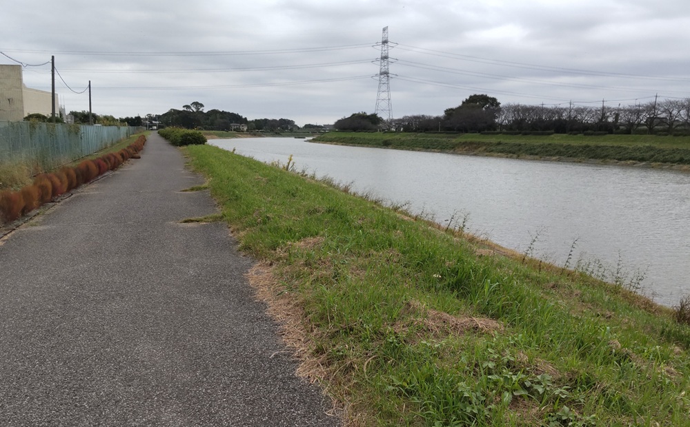 権現堂川沿いのサイクリングコース