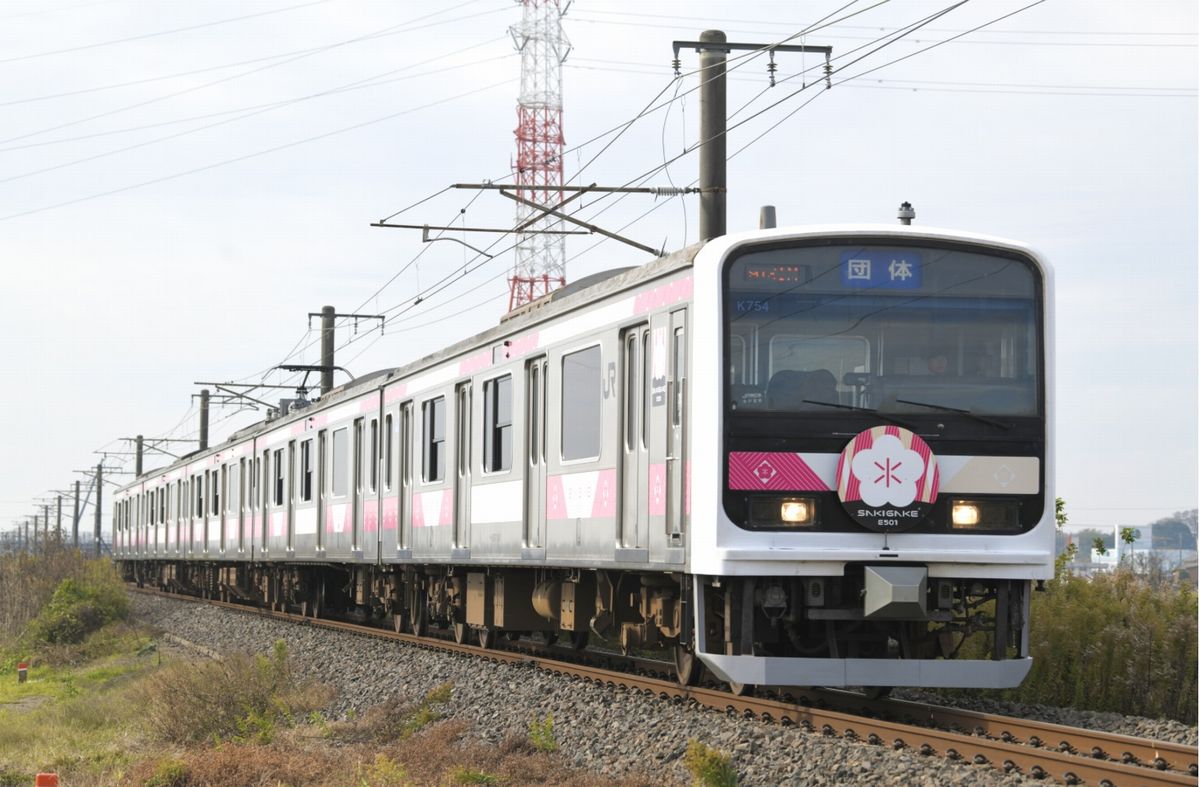 「茨城スイーツ列車SAKIGA CAKE（サキガケーキ）号」として運行されるE501（JR水戸支社提供）