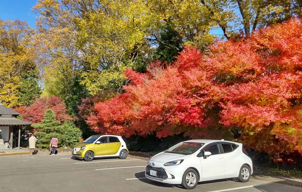 最勝寺＝筑西市下平塚