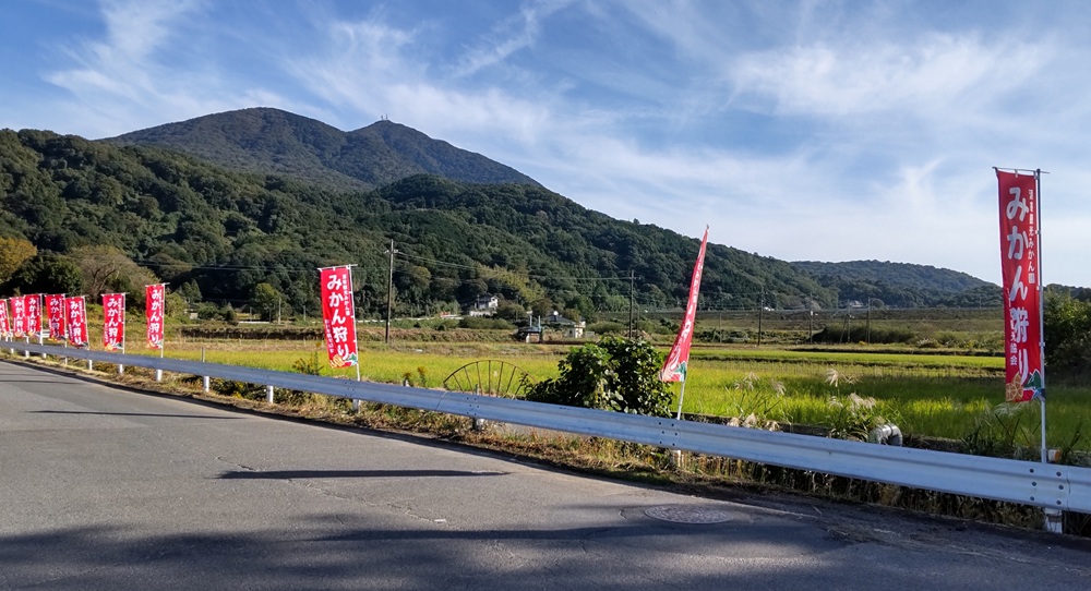 県道（つくば益子線）から「酒寄みかん園」までノボリが続いています。