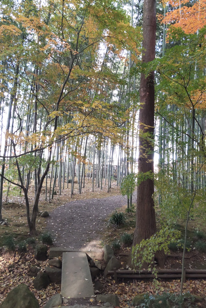 庭園の外れには竹林の道もありました