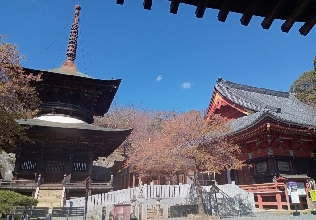 雨引観音（楽法寺）の本堂（右）と多宝塔＝桜川市本木