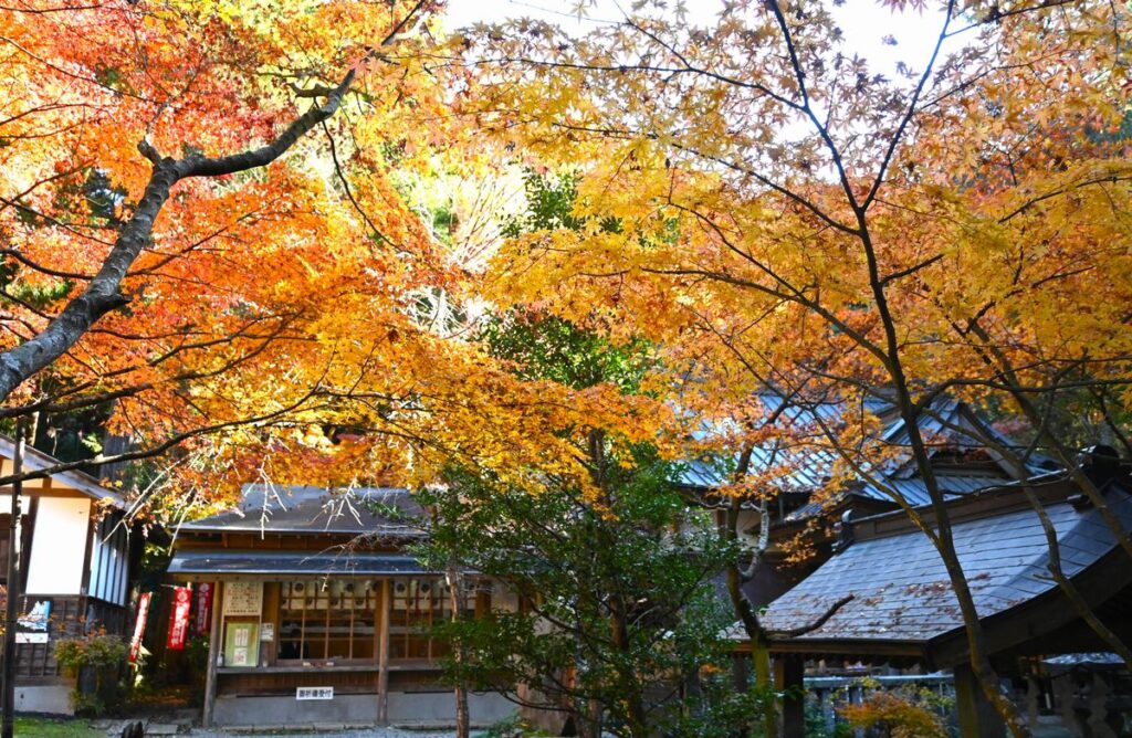 五所駒瀧神社拝殿周辺の紅葉＝桜川市山尾