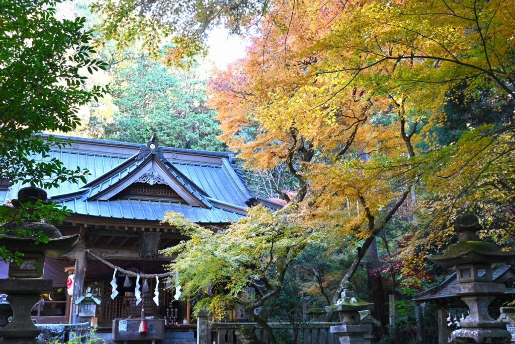 五所駒瀧神社拝殿前の紅葉＝桜川市山尾