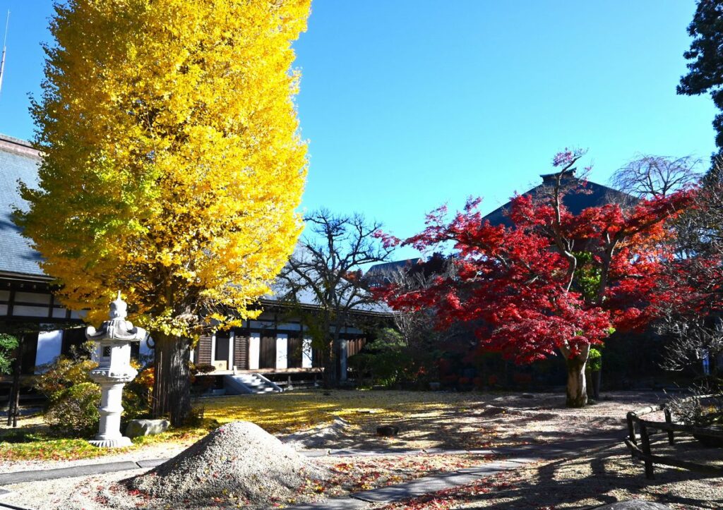 月山寺の庭園とイチョウ、モミジ＝桜川市西小塙