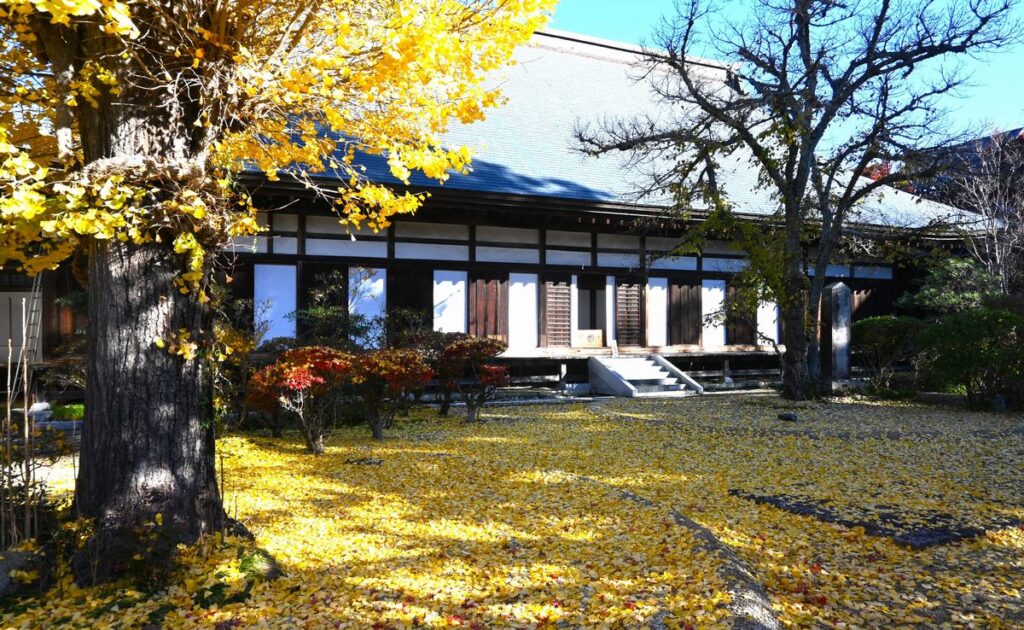 月山寺庭園はイチョウのじゅうたん＝桜川市西小塙