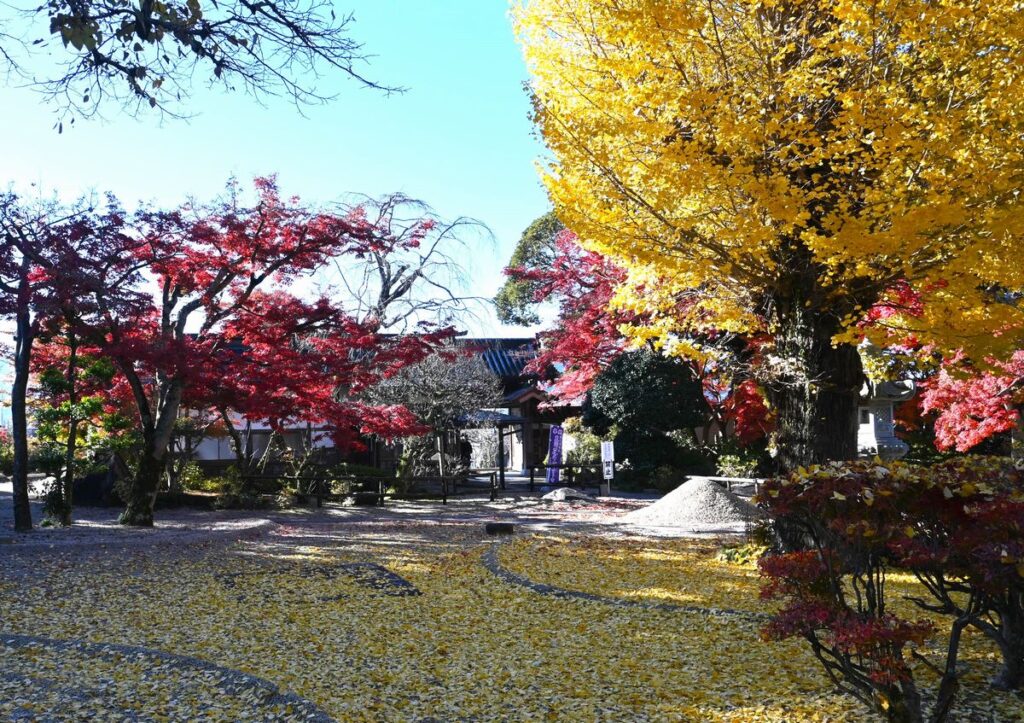 月山寺の庭園と周辺＝桜川市西小塙