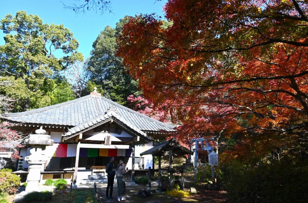 薬王寺の本堂＝桜川市青木