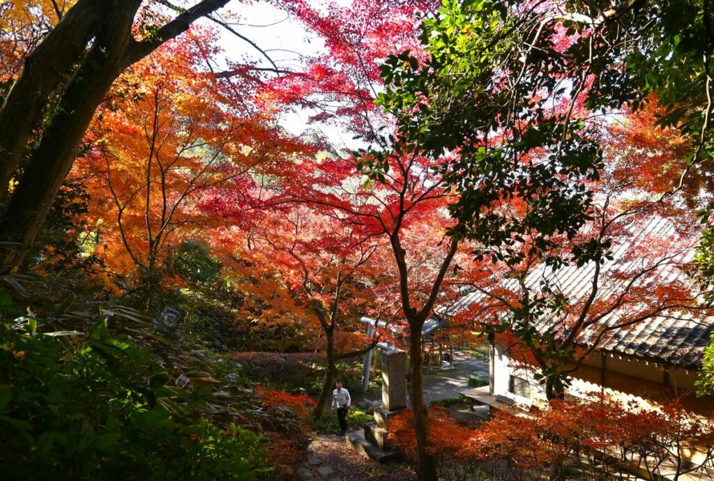 薬王寺境内の高台から＝桜川市青木