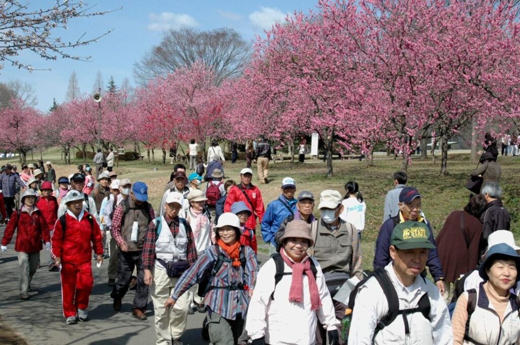 過去の花桃ウオーク