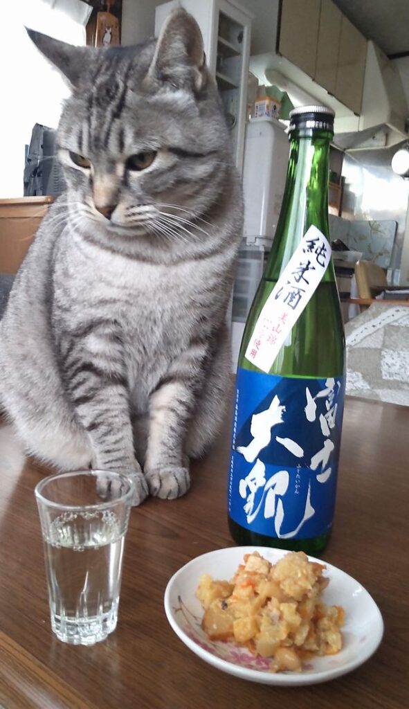 小波来さんの所の保護猫はすみつかれがあまり好きではないらしく、そっぽを向いてしまいました