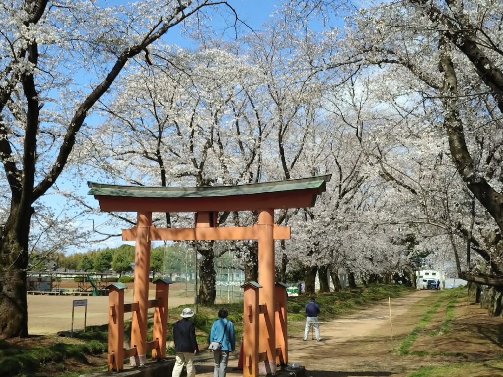 2025年4月4日撮影。ほぼ満開でした
