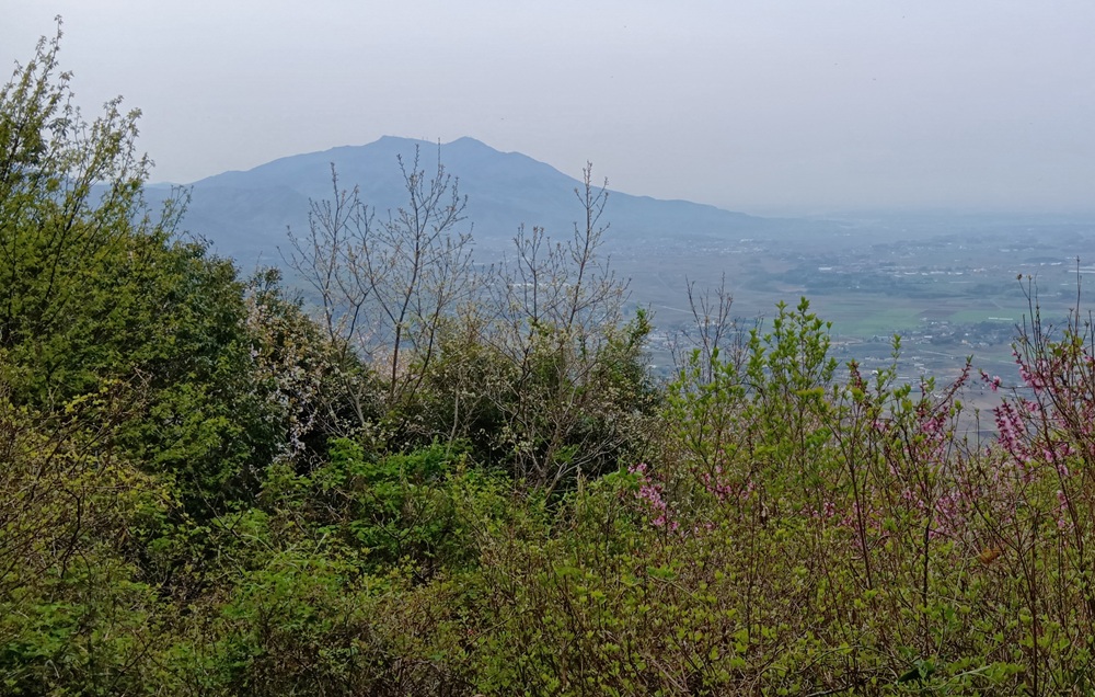 雨引山山頂(標高402m)=午前6時35分