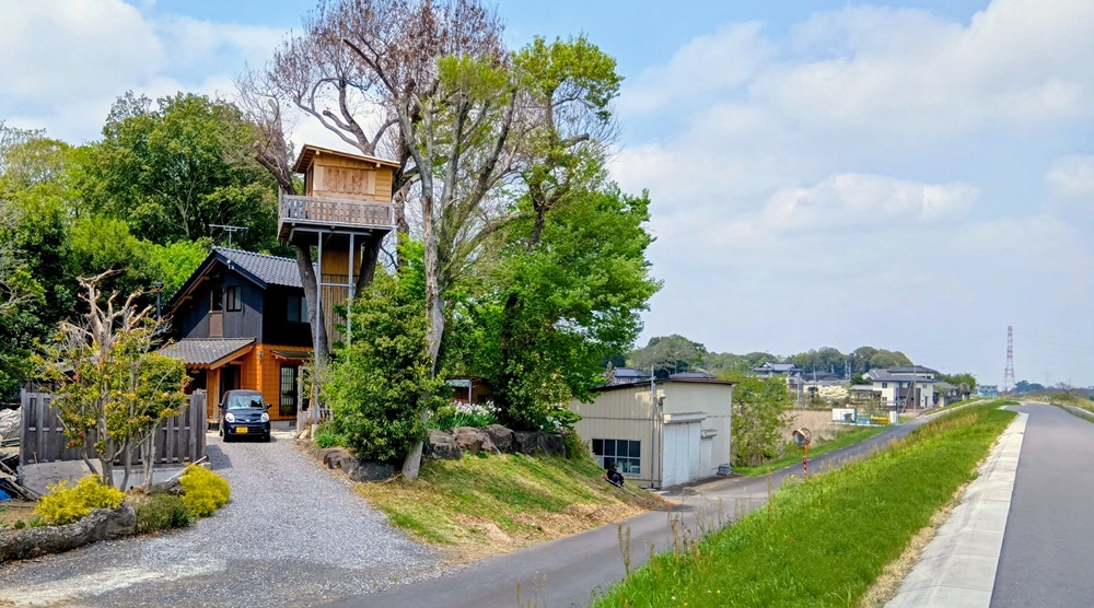 二階建ての家より高いツリーハウス