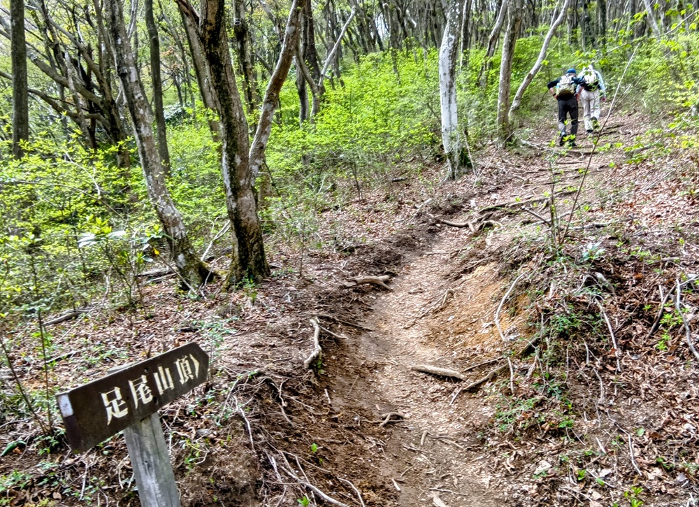 足尾山への登山道。70代半ばの男性2人が元気に登っていきます