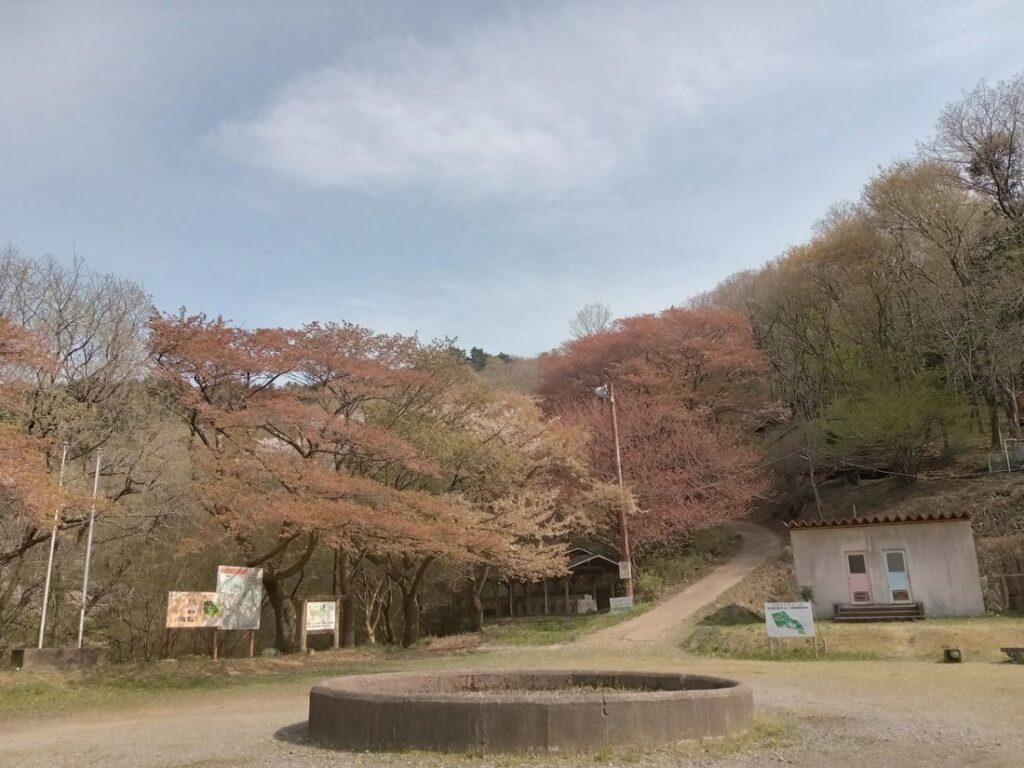 筑波高原キャンプ場=桜川市真壁町羽鳥