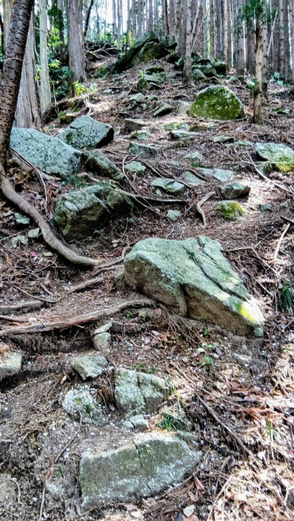 筑波高原キャンプ場方面に向けて続く急登 
