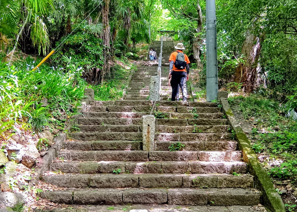 登山というより階段上りです