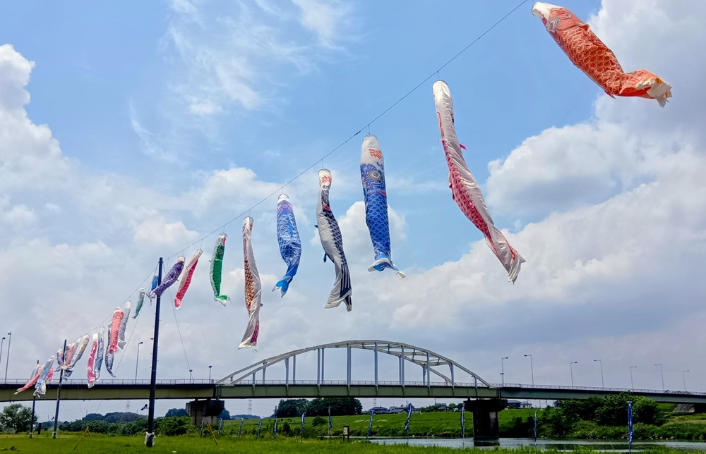 初夏の風に乗って泳ぐこいのぼり