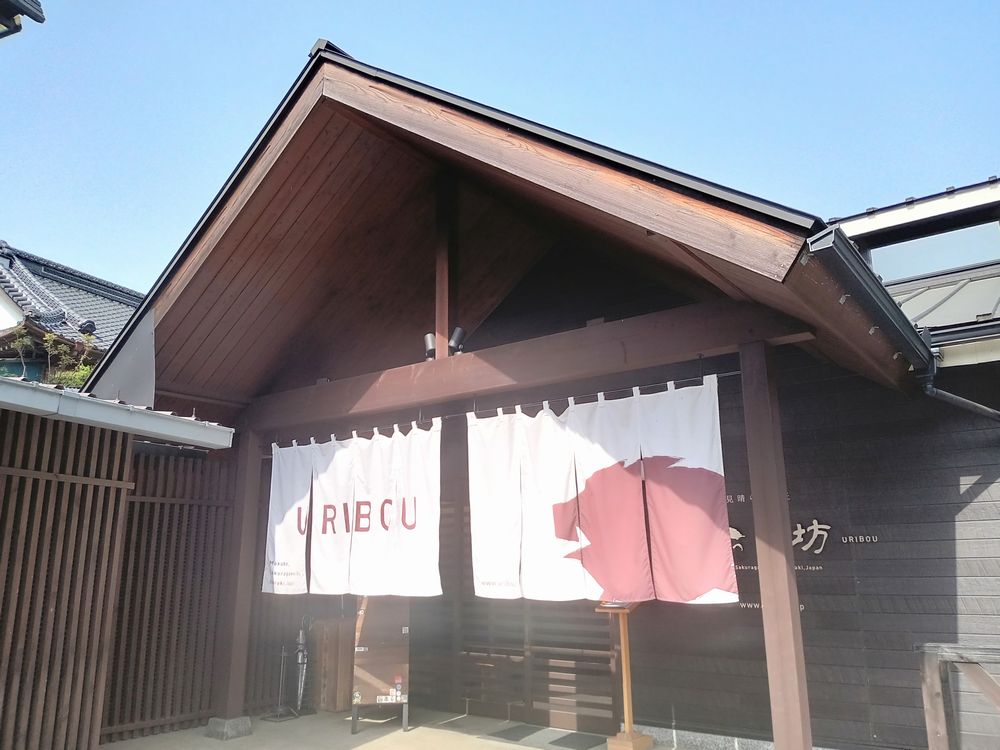 日帰り入浴可能な旅館「うり坊」(2025年4月19日撮影)