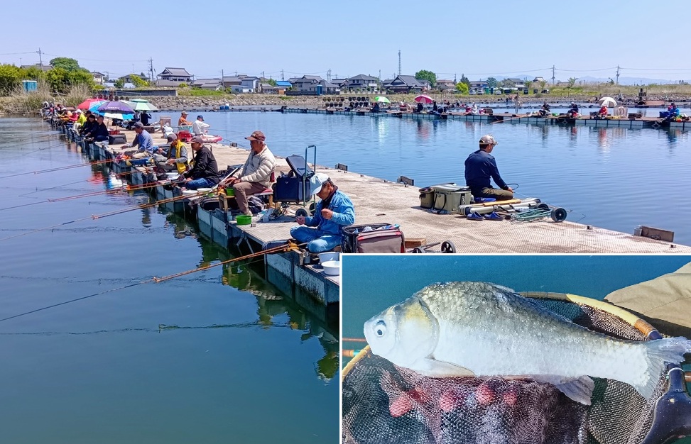 型のよいヘラブナが釣れると人気の「筑波流源湖」