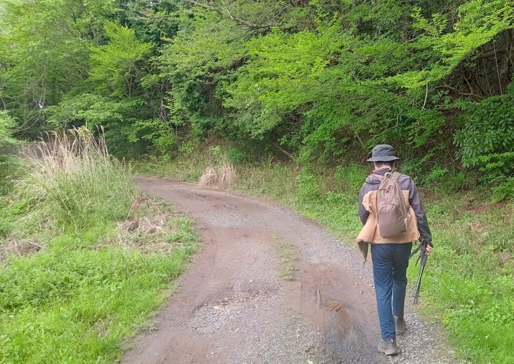 筑波高原キャンプ場から林道を歩きます