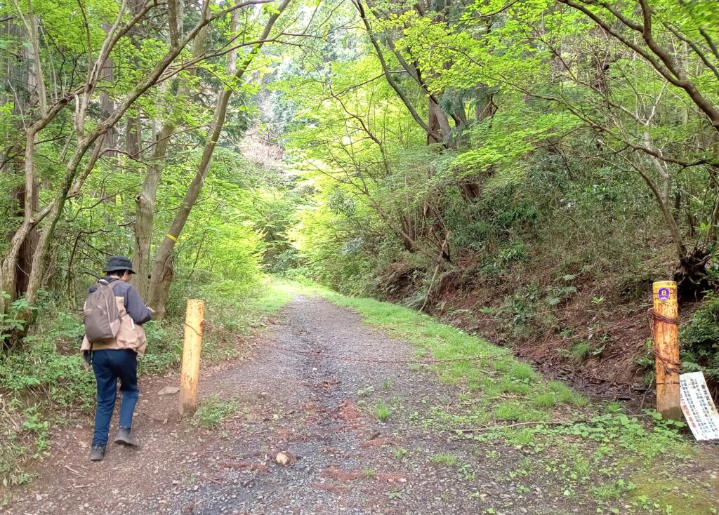 林道から「東筑波ハイキングコース」に入ります