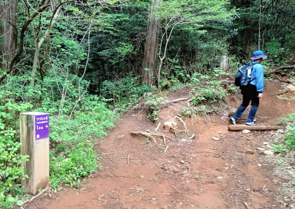 「つつじケ丘」1.4kmの道しるべ。ここで分岐を見逃してしまいました
