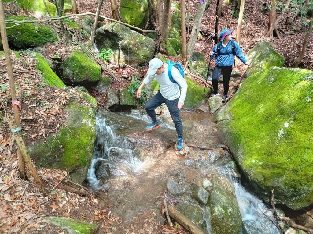 水量がある沢もありました。滑らないよう注意