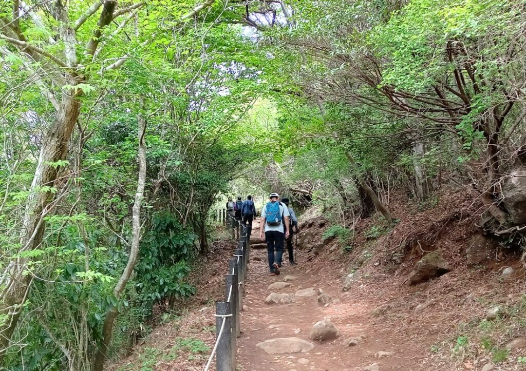 おたつ石コースの登山道は整備されていて、歩きやすくなっています
