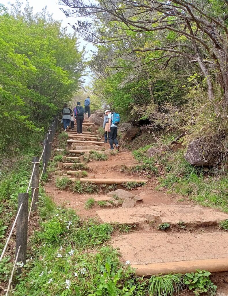 おたつ石コースの登山道