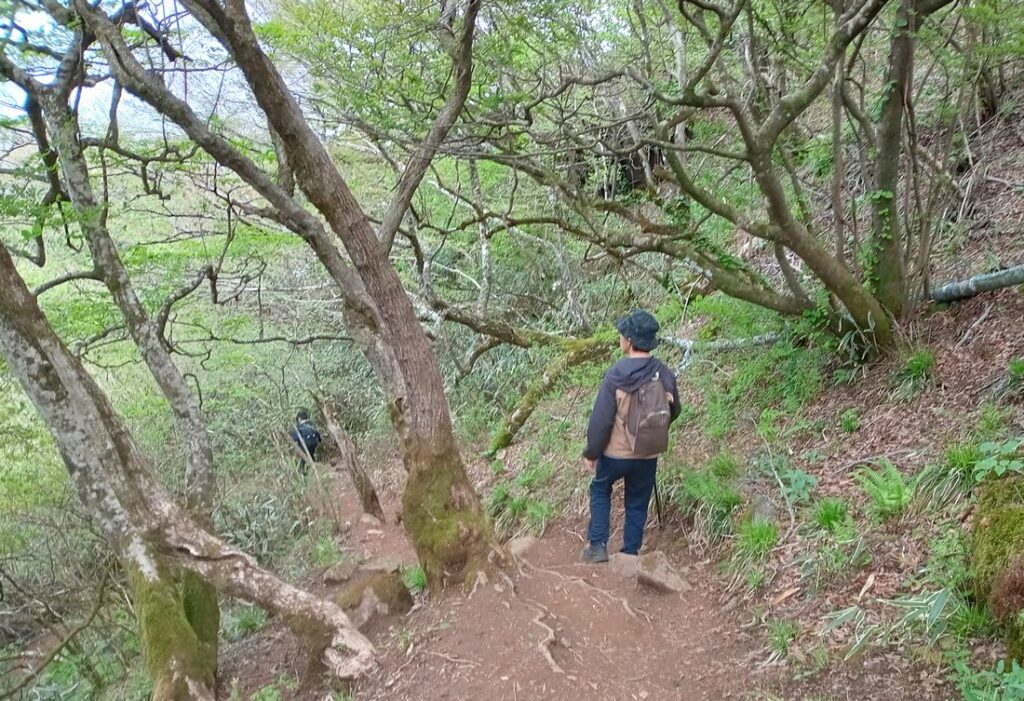 筑波高原キャンプ場への下りはいつものようにすいすい行けました