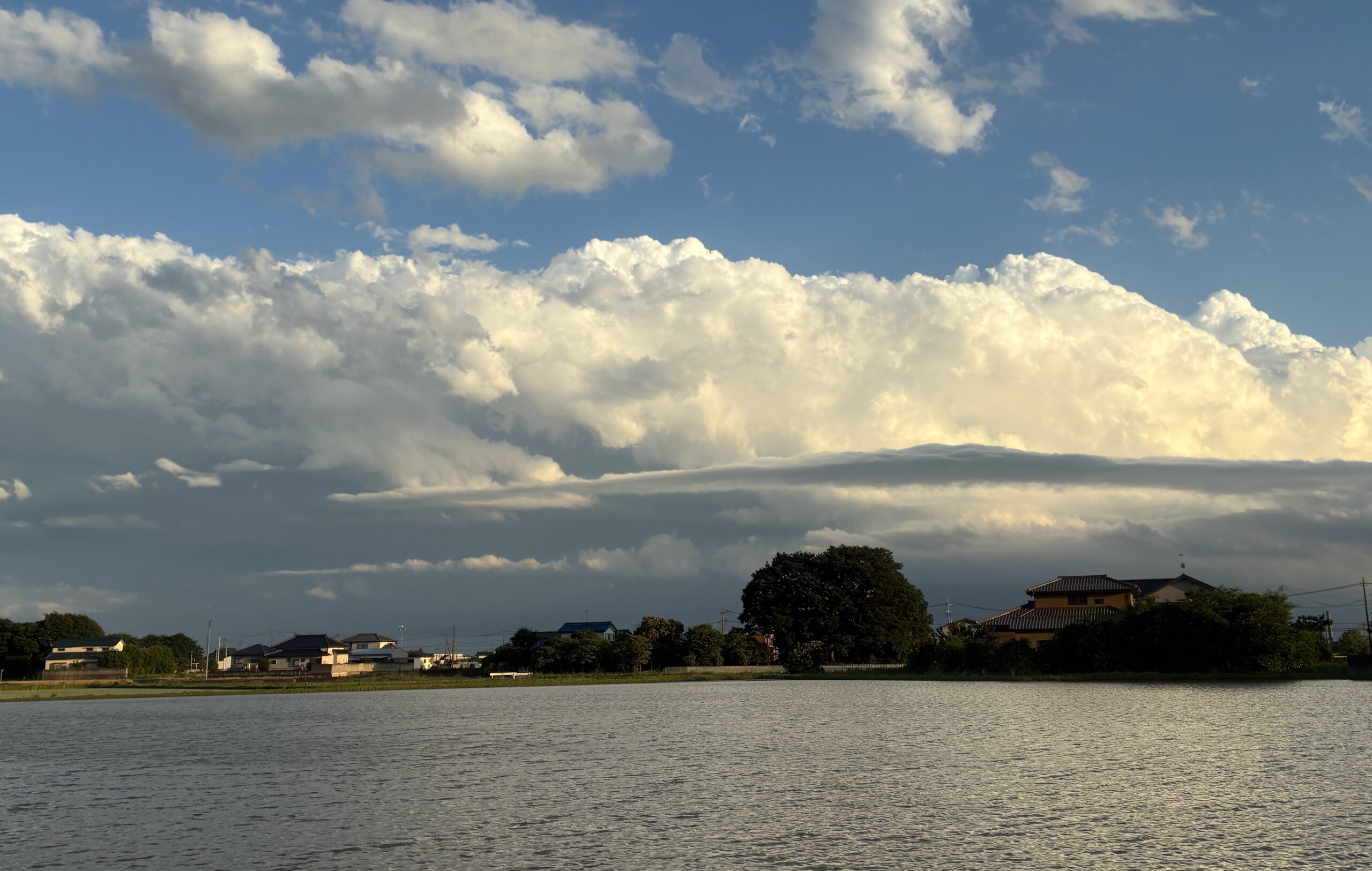 水田と白い雲。樋口さんが撮影した五霞町の風景