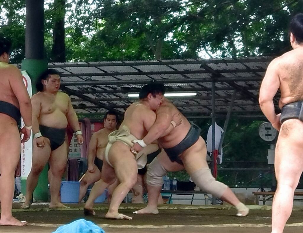 高砂部屋力士たちの激しい稽古＝2025年6月14日、下妻市大宝