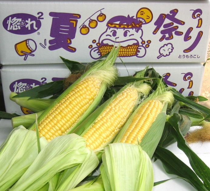 「味来」は「夏祭り」の商品名でブランド化が勧められています(写真は結城市農政課提供)