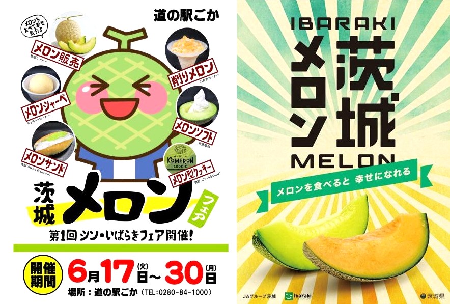 茨城メロンフェアのチラシ