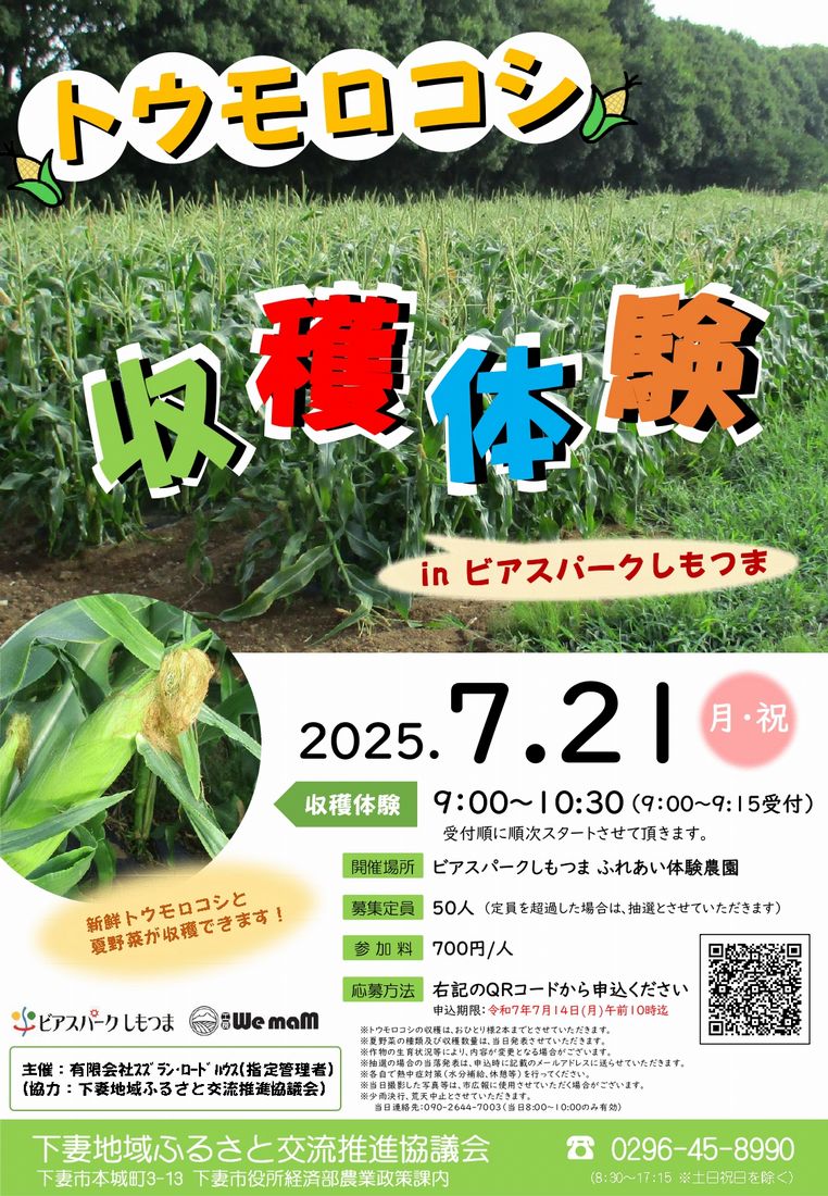 トウモロコシ収穫体験のチラシ
