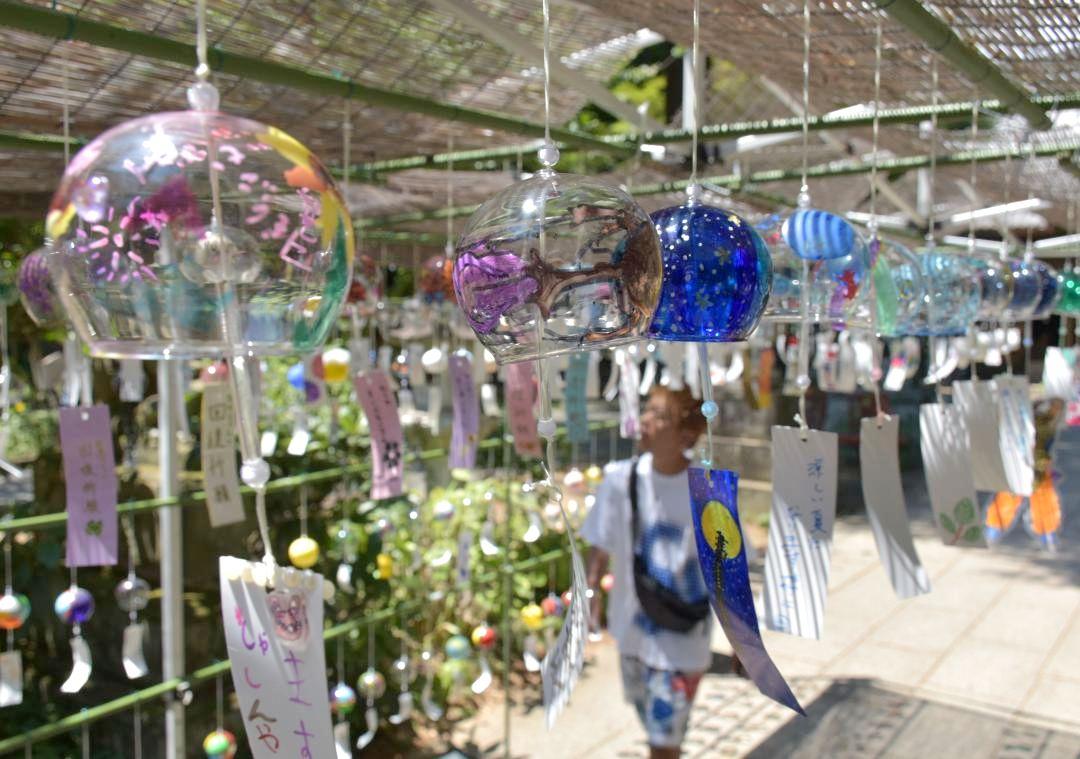参道を彩る色とりどりの風鈴=下妻市大宝